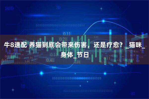 牛8速配 养猫到底会带来伤害，还是疗愈？_猫咪_身体_节日